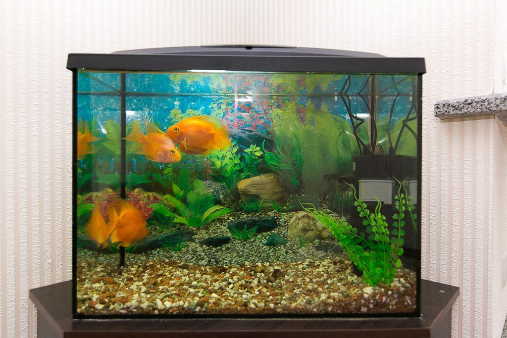 Vip Apartment On Ilinska Sumy Luaran gambar
